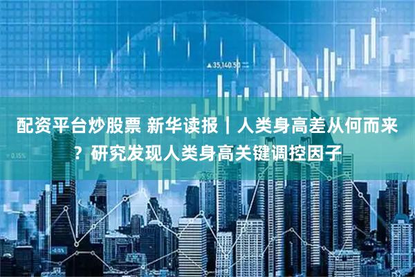 配资平台炒股票 新华读报｜人类身高差从何而来？研究发现人类身高关键调控因子